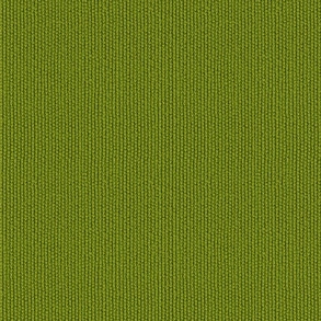 038 Olive